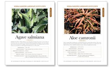 Catalog: NGS
